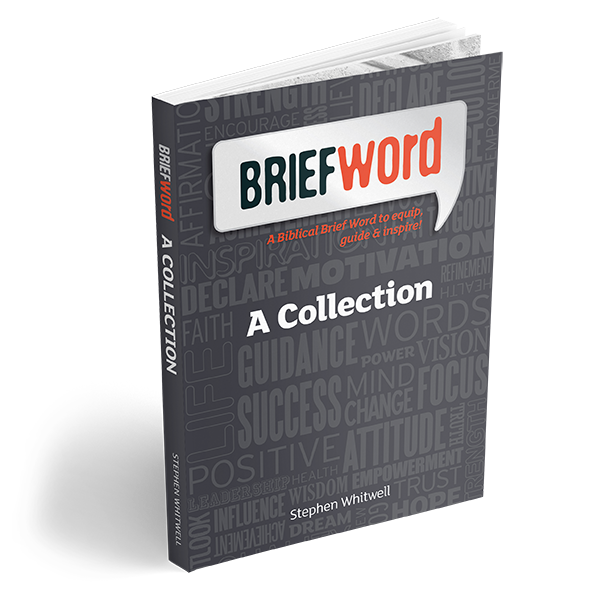 5 letter word with brief