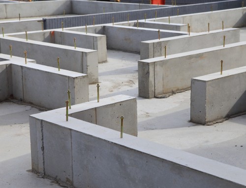 Brief Word #164 FEBRUARY 2026